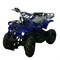 Электроквадроцикл AVANTIS ATV Classic 800W Синий - фото 4822