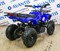 Электроквадроцикл AVANTIS ATV Classic 800W Синий паук SGPLXfH5jjZb5sv76GWTQ0