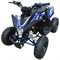 Квадроцикл Motax Геккон 1+1 70сс Черно-синий - фото 6732