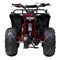 Квадроцикл THUNDER EVO.M 110 Черный c5XnqHFUiQ35Zs5ieHMPn0
